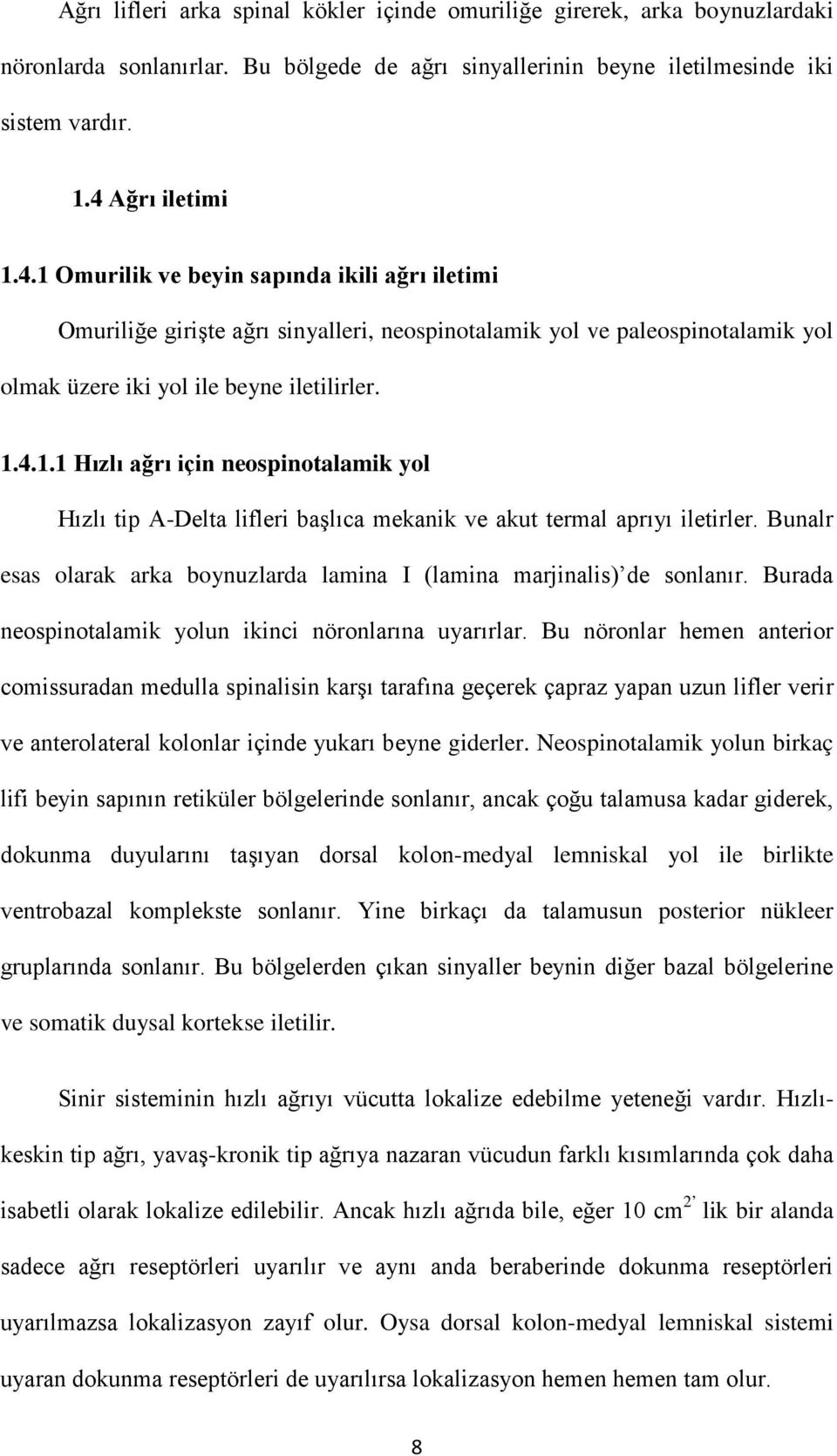 Bunalr esas olarak arka boynuzlarda lamina I (lamina marjinalis) de sonlanır. Burada neospinotalamik yolun ikinci nöronlarına uyarırlar.