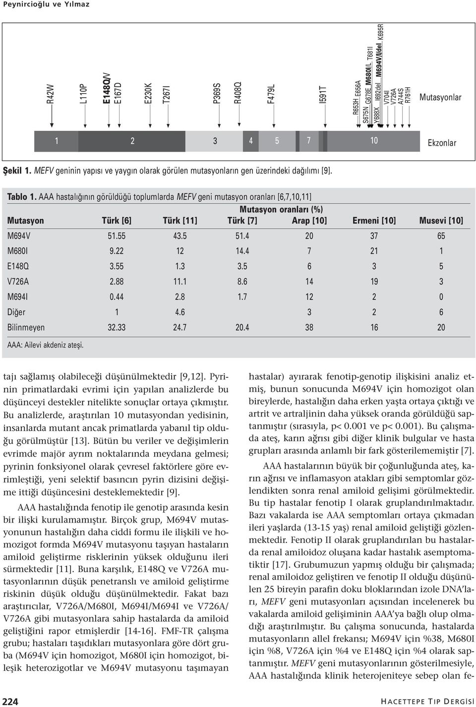 AAA hastalığının görüldüğü toplumlarda MEFV geni mutasyon oranları [6,7,10,11] Mutasyon oranları (%) Mutasyon Türk [6] Türk [11] Türk [7] Arap [10] Ermeni [10] Musevi [10] M694V 51.55 43.5 51.