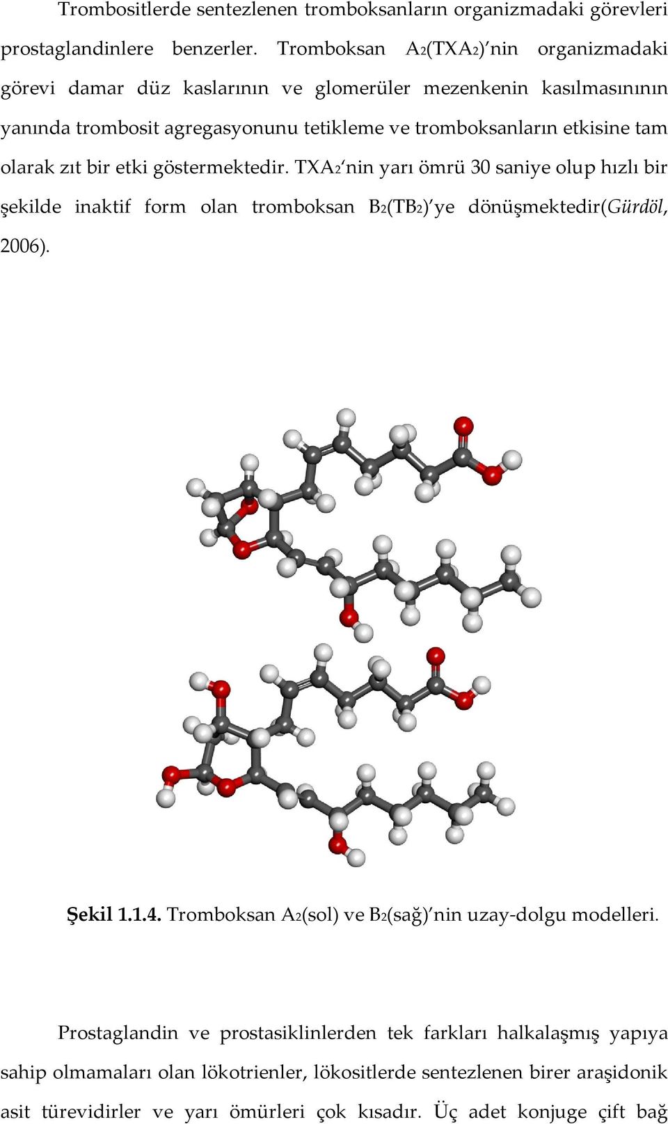 olarak zıt bir etki göstermektedir. TXA2 nin yarı ömrü 30 saniye olup hızlı bir şekilde inaktif form olan tromboksan B2(TB2) ye dönüşmektedir(gürdöl, 2006). Şekil 1.1.4.