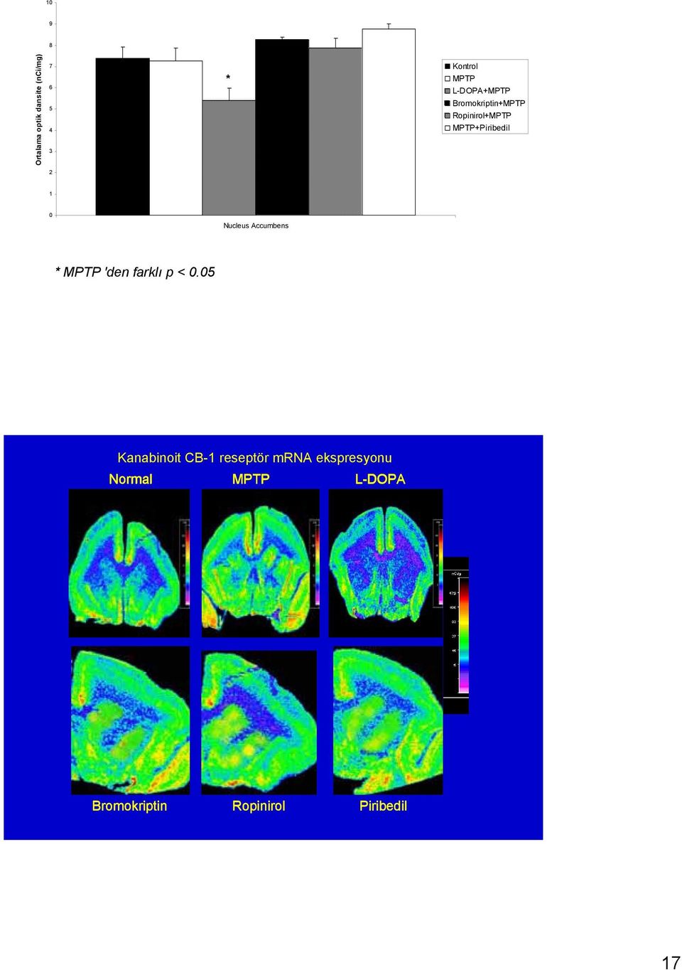 Nucleus Accumbens * MPTP 'den farklı p < 0.