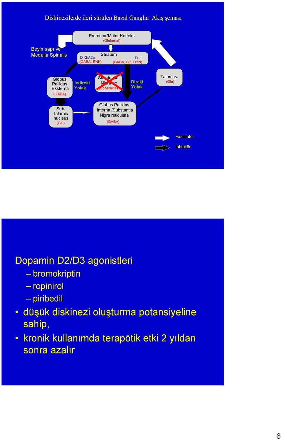 Talamus (Glu) Subtalamic nucleus (Glu) Globus Pallidus Interna /Substantia Nigra reticulata (GABA) Fasilitatör İnhibitör Dopamin D2/D3