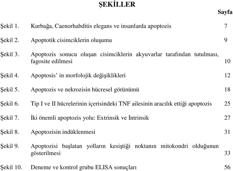 Apoptozis ve nekrozisin hücresel görünümü 18 Şekil 6. Tip I ve II hücrelerinin içerisindeki TNF ailesinin aracılık ettiği apoptozis 25 Şekil 7.