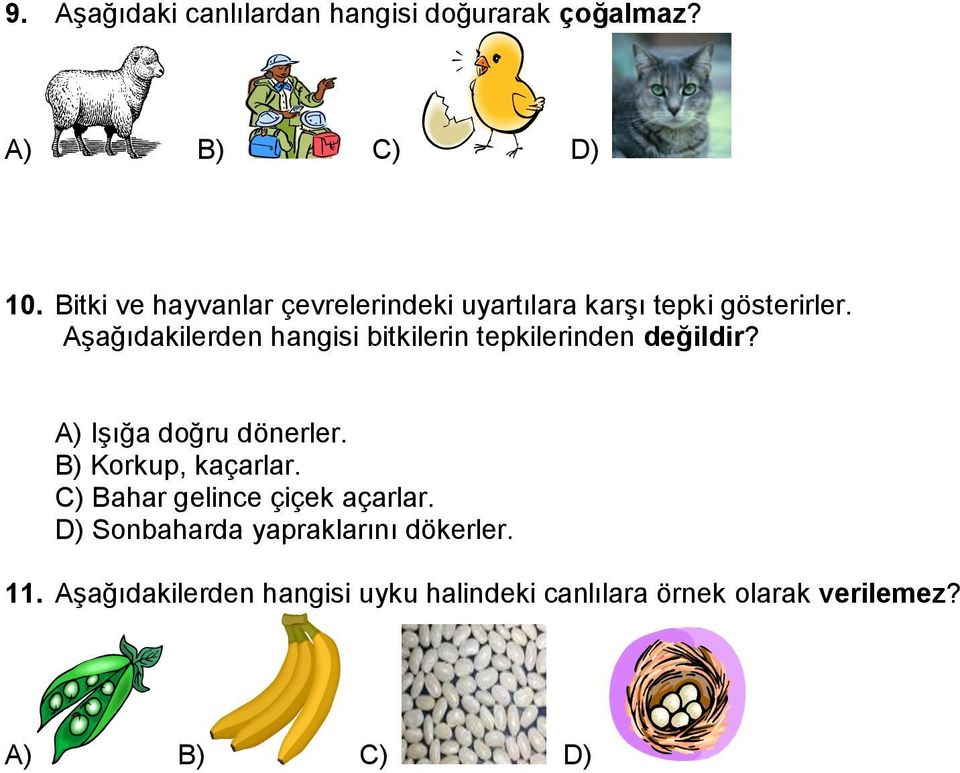 Aşağıdakilerden hangisi bitkilerin tepkilerinden değildir? A) Işığa doğru dönerler.