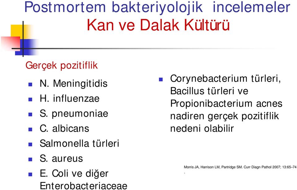 Coli ve diğer Enterobacteriaceae Corynebacterium türleri, Bacillus türleri ve