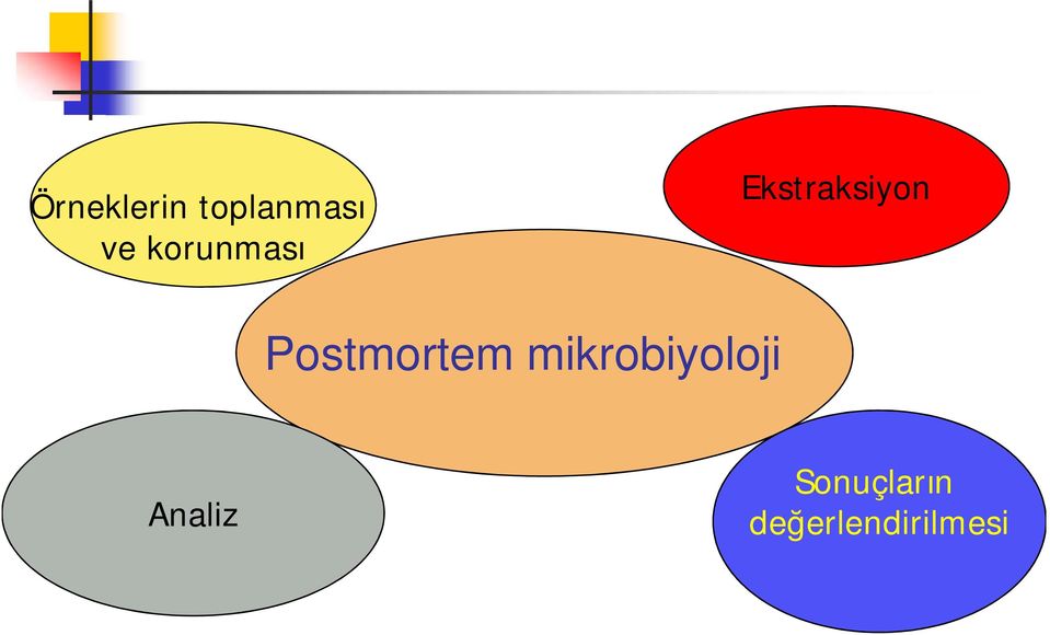 Postmortem mikrobiyoloji