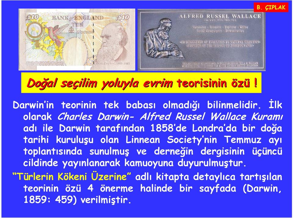 olan Linnean Society nin Temmuz ayı toplantısında sunulmuş ve derneğin dergisinin üçüncü cildinde yayınlanarak kamuoyuna