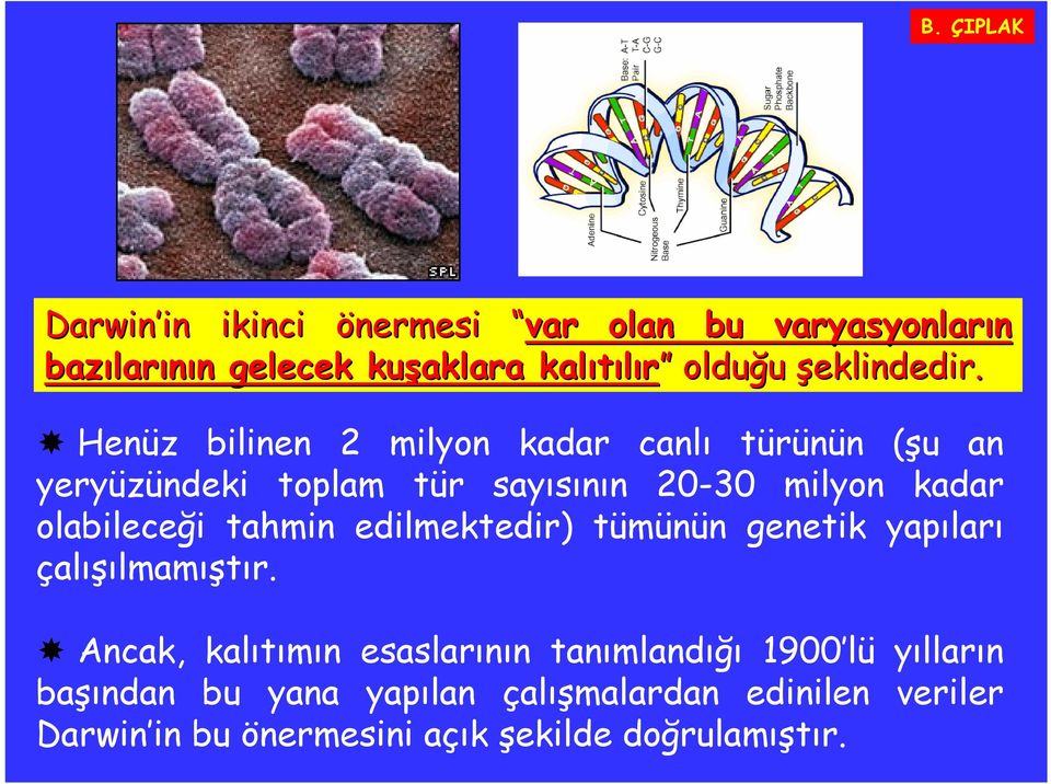 Henüz bilinen 2 milyon kadar canlı türünün (şu an yeryüzündeki toplam tür sayısının 20-30 milyon kadar olabileceği