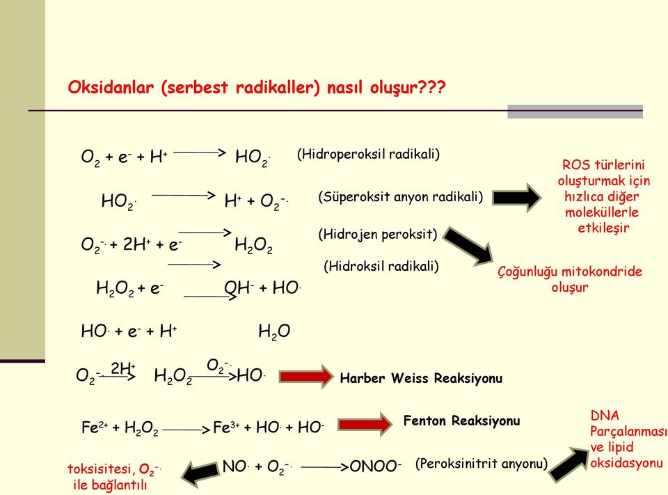 diğer moleküllerle etkileşir Çoğunluğu mitokondride oluşur H. + e - + H + H 2 -. 2H + -. 2 H 2 2 2 H.