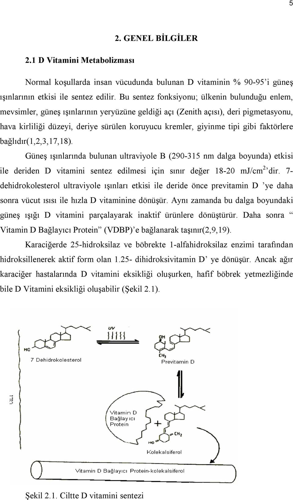 tipi gibi faktörlere bağlıdır(1,2,3,17,18). Güneş ışınlarında bulunan ultraviyole B (290-315 nm dalga boyunda) etkisi ile deriden D vitamini sentez edilmesi için sınır değer 18-20 mj/cm 2 dir.