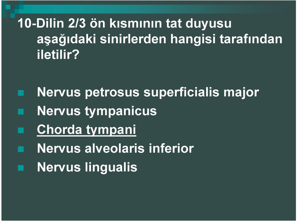 Nervus petrosus superficialis major Nervus