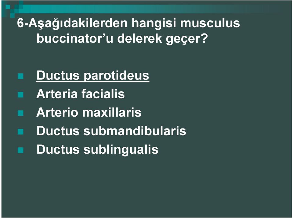 Ductus parotideus Arteria facialis