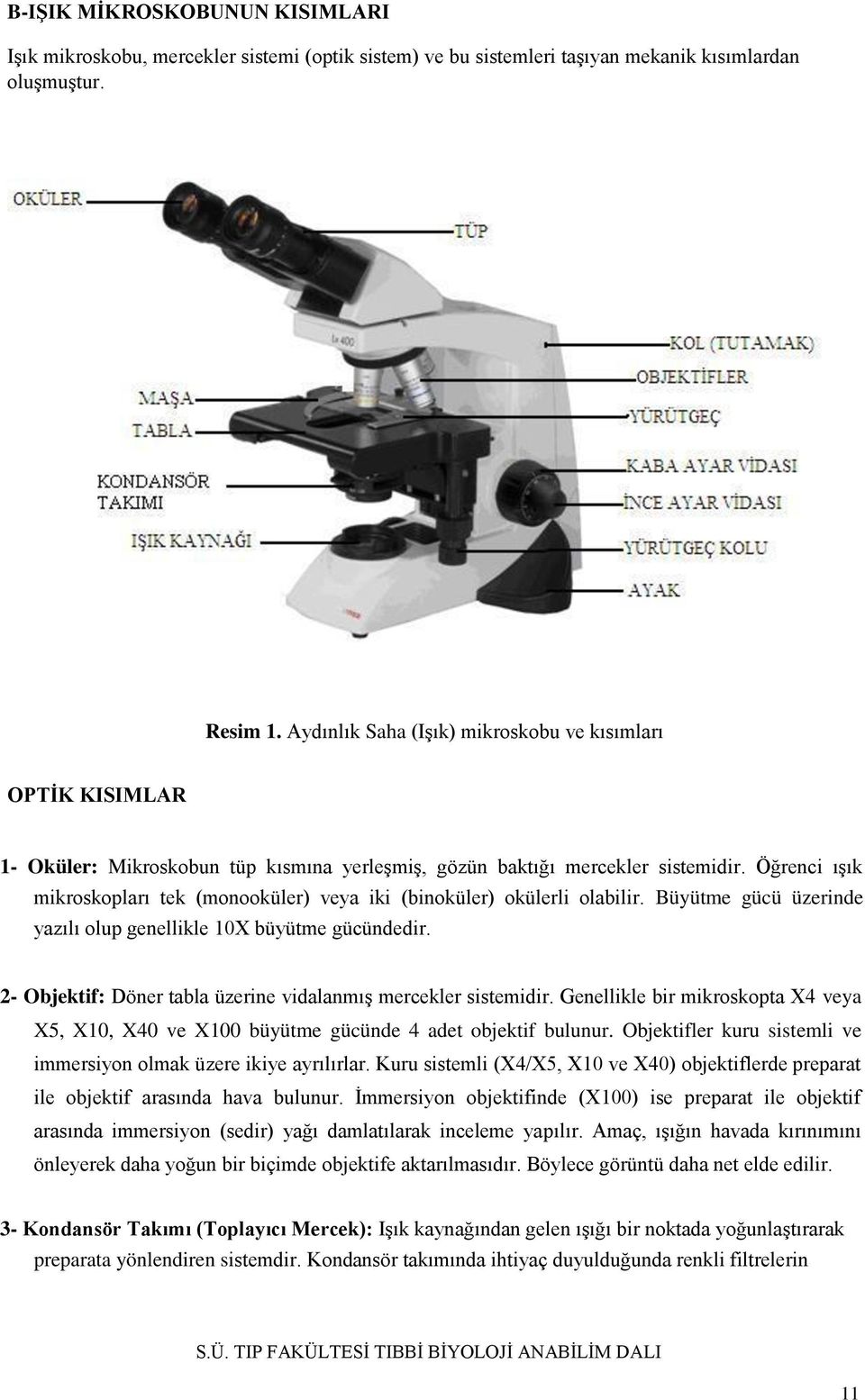 Öğrenci ışık mikroskopları tek (monooküler) veya iki (binoküler) okülerli olabilir. Büyütme gücü üzerinde yazılı olup genellikle 10X büyütme gücündedir.