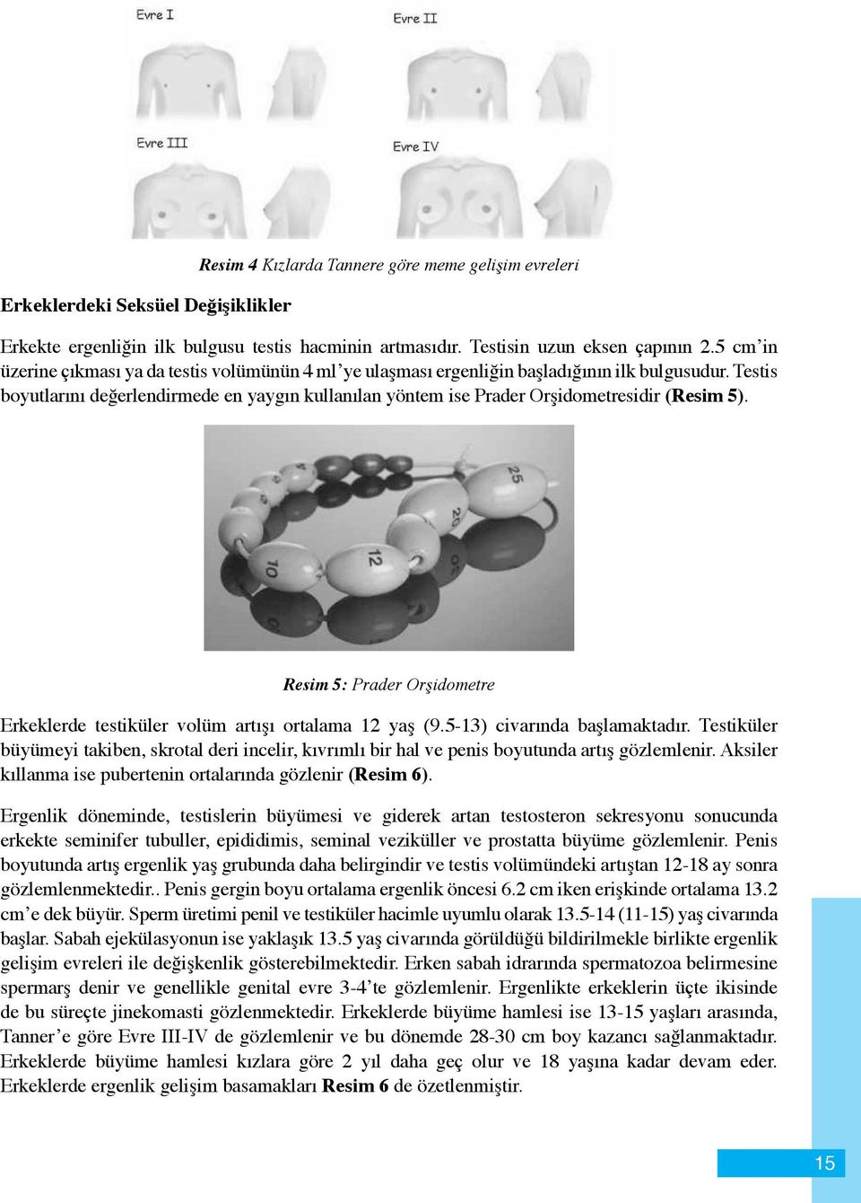 Testis boyutlarını değerlendirmede en yaygın kullanılan yöntem ise Prader Orşidometresidir (Resim 5). Resim 5: Prader Orşidometre Erkeklerde testiküler volüm artışı ortalama 12 yaş (9.