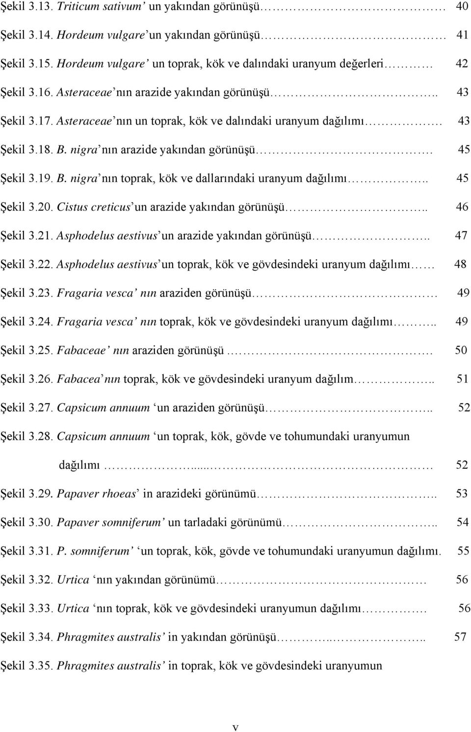 . 45 Şekil 3.20. Cistus creticus un arazide yakından görünüşü.. 46 Şekil 3.21. Asphodelus aestivus un arazide yakından görünüşü.. 47 Şekil 3.22.