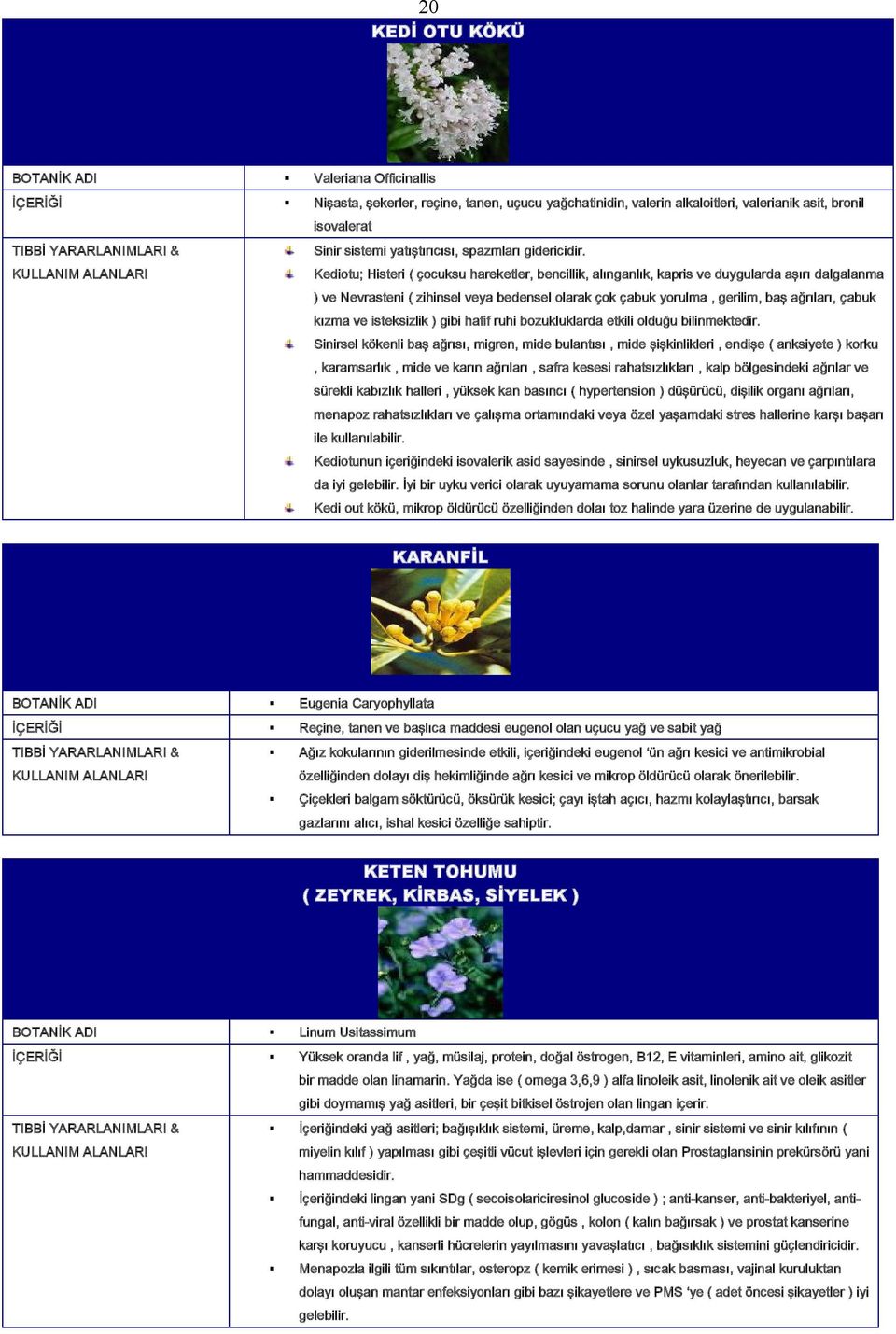 Kediotu; Histeri ( çocuksu hareketler, bencillik, alınganlık, kapris ve duygularda aşırı dalgalanma ) ve Nevrasteni ( zihinsel veya bedensel olarak çok çabuk yorulma, gerilim, baş ağrıları, çabuk