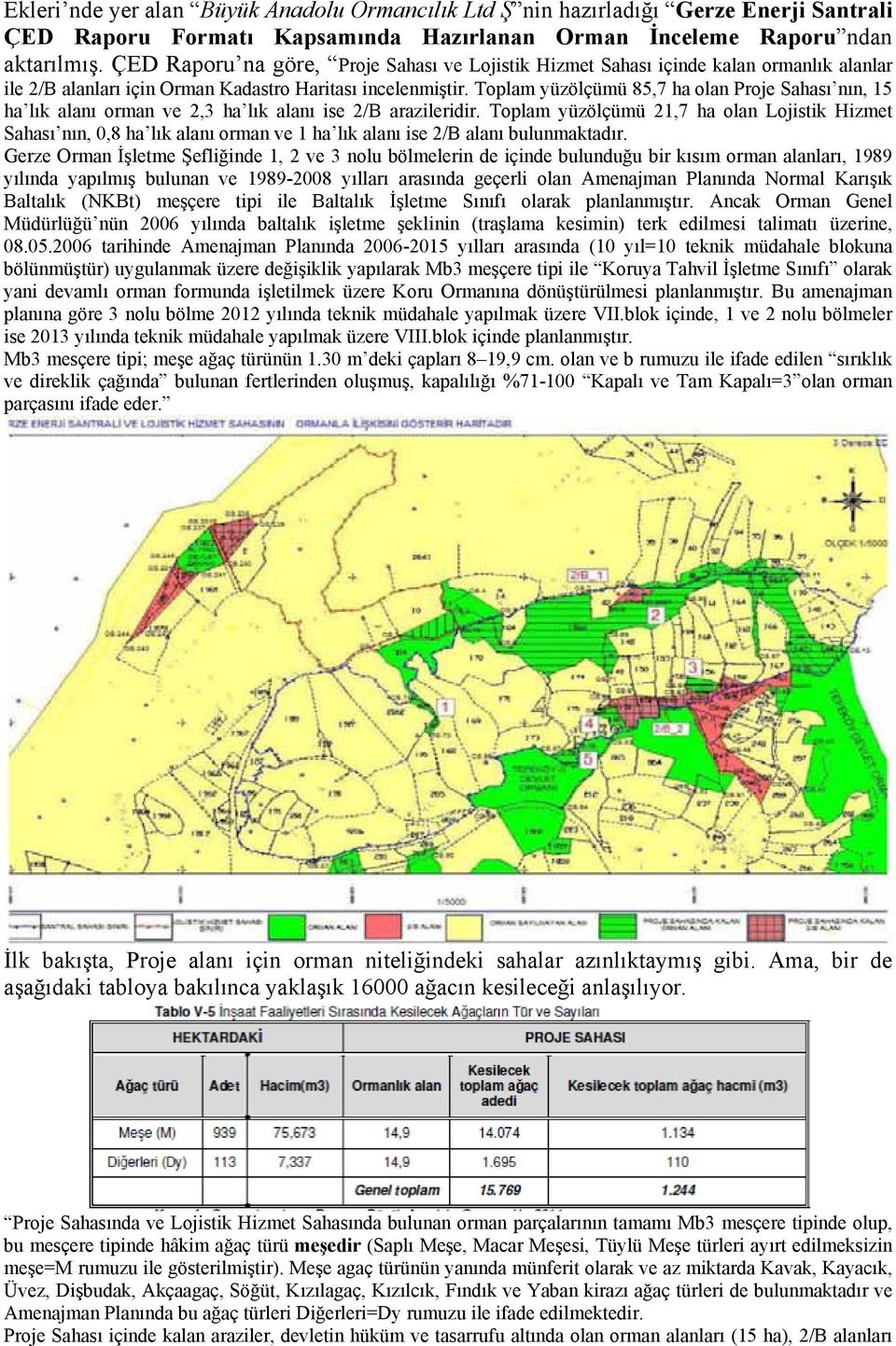 Toplam yüzölçümü 85,7 ha olan Proje Sahası nın, 15 ha lık alanı orman ve 2,3 ha lık alanı ise 2/B arazileridir.