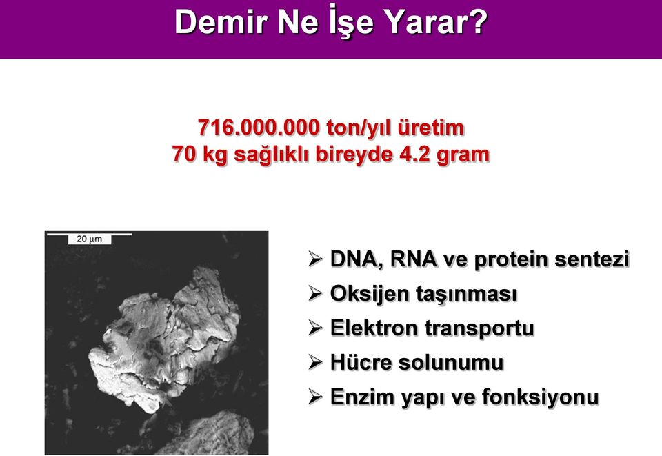 2 gram DNA, RNA ve protein sentezi Oksijen