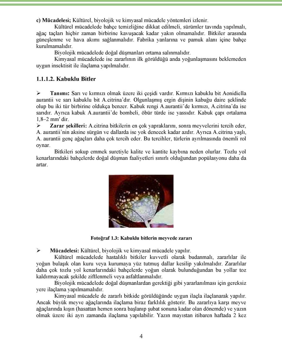 Bitkiler arasında güneşlenme ve hava akımı sağlanmalıdır. Fabrika yanlarına ve pamuk alanı içine bahçe kurulmamalıdır. Biyolojik mücadelede doğal düşmanları ortama salınmalıdır.