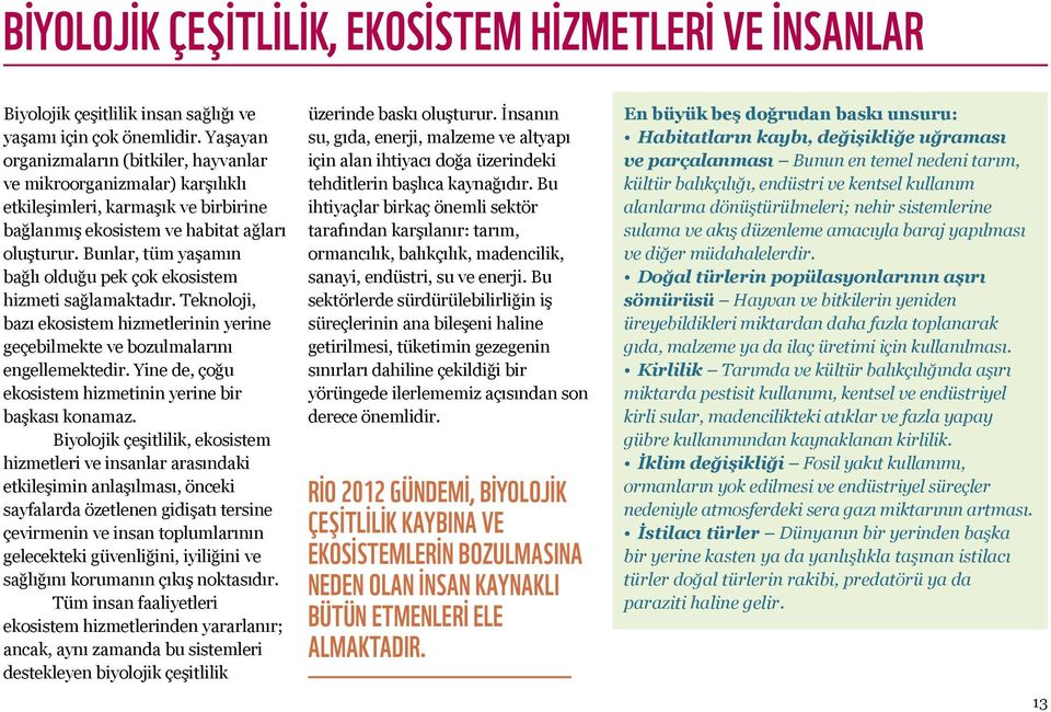 Bunlar, tüm yaşamın bağlı olduğu pek çok ekosistem hizmeti sağlamaktadır. Teknoloji, bazı ekosistem hizmetlerinin yerine geçebilmekte ve bozulmalarını engellemektedir.