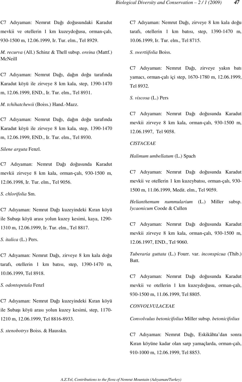 -Mazz. C7 Adıyaman: Nemrut Dağı, dağın doğu tarafında Karadut köyü ile zirveye 8 km kala, step, 1390-1470 m, 12.06.1999, END., Ir. Tur. elm., Tel 8930. Silene arguta Fenzl.