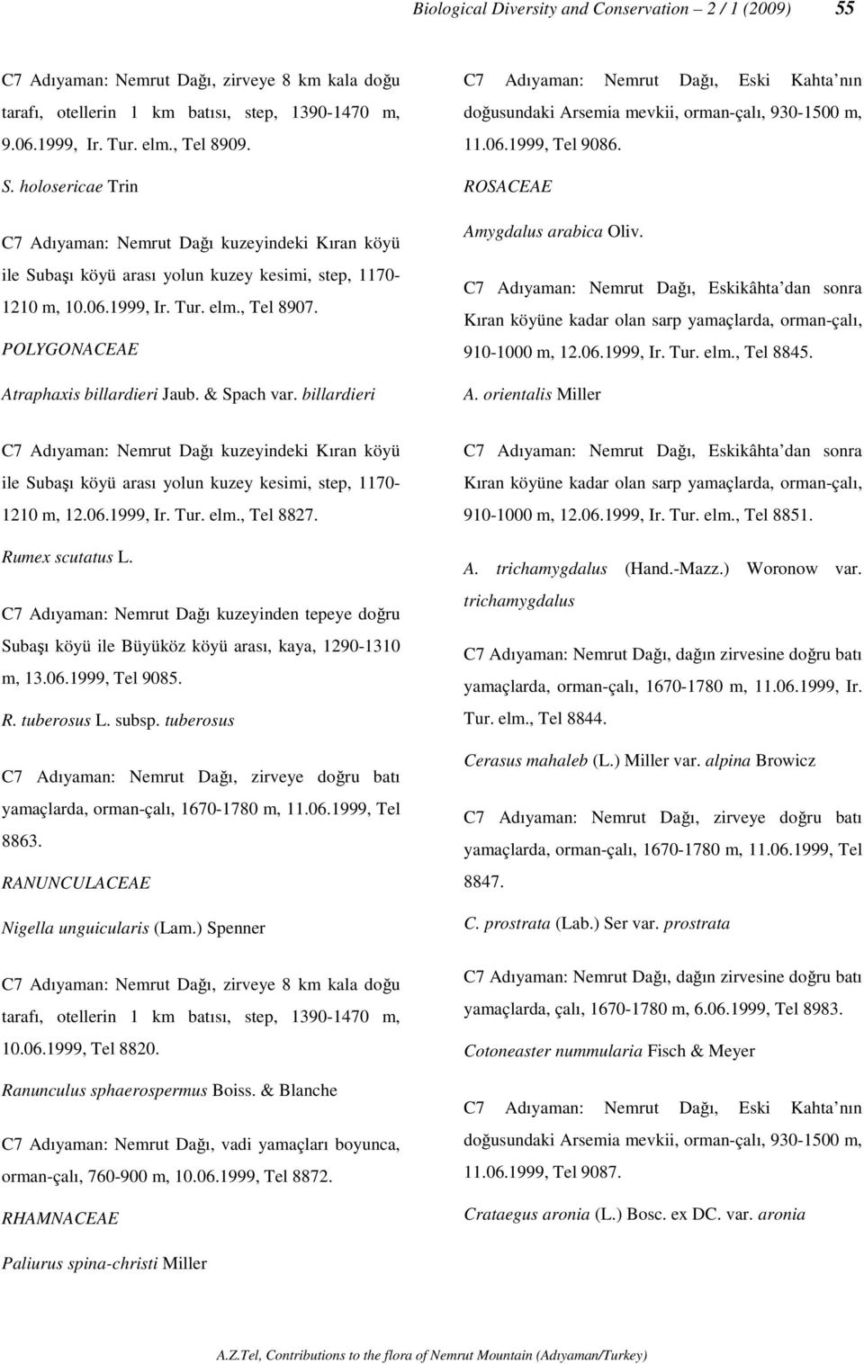 Tur. elm., Tel 8845. A. orientalis Miller 1210 m, 12.06.1999, Ir. Tur. elm., Tel 8827. Rumex scutatus L.