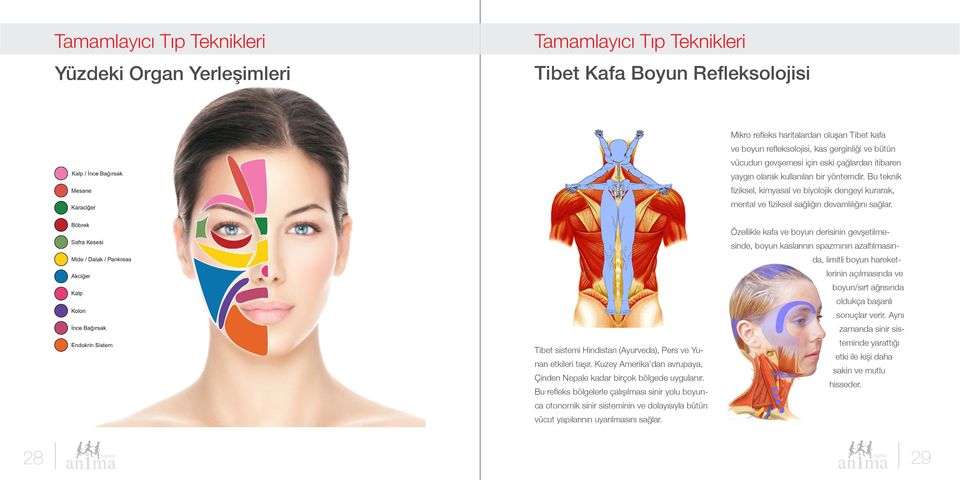 Bu teknik fiziksel, kimyasal ve biyolojik dengeyi kurarak, mental ve fiziksel sağlığın devamlılığını sağlar. Tibet sistemi Hindistan (Ayurveda), Pers ve Yunan etkileri taşır.