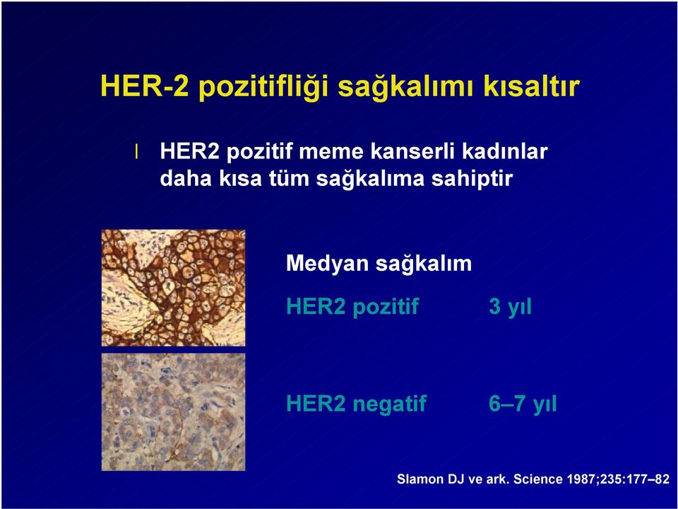 sahiptir Medyan sağkalım HER2 pozitif 3 yıl HER2