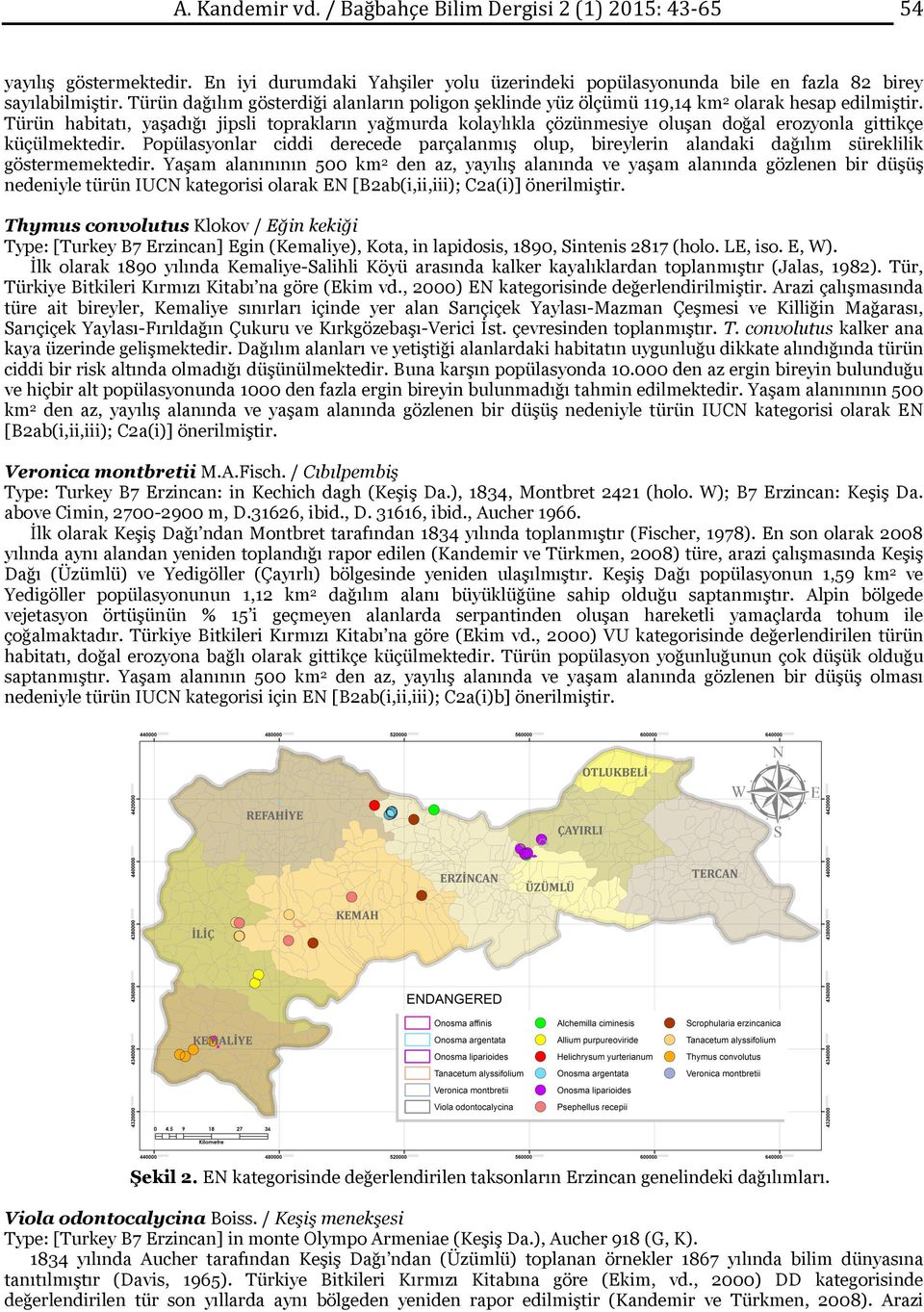 Türün habitatı, yaşadığı jipsli toprakların yağmurda kolaylıkla çözünmesiye oluşan doğal erozyonla gittikçe küçülmektedir.