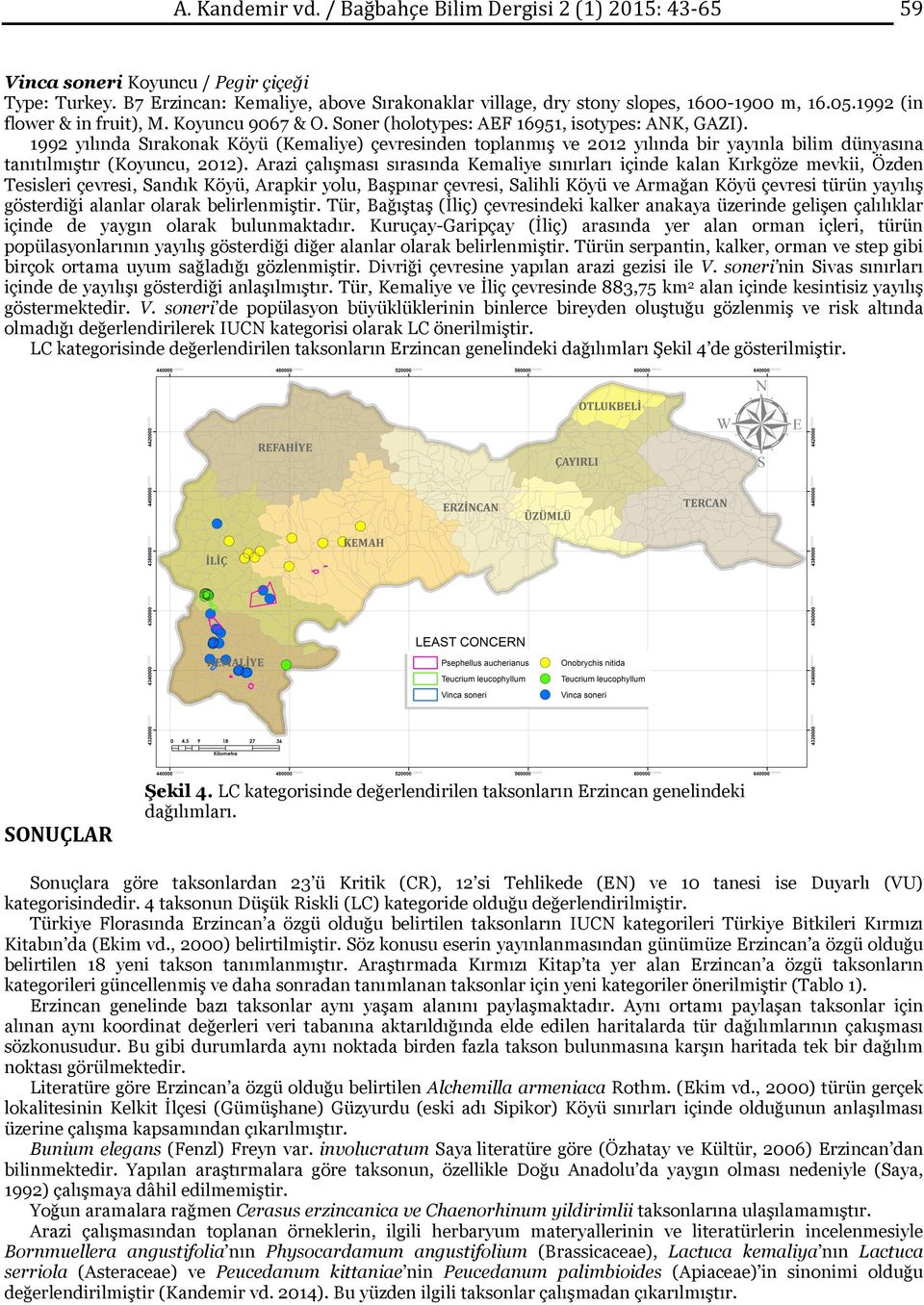 1992 yılında Sırakonak Köyü (Kemaliye) çevresinden toplanmış ve 2012 yılında bir yayınla bilim dünyasına tanıtılmıştır (Koyuncu, 2012).