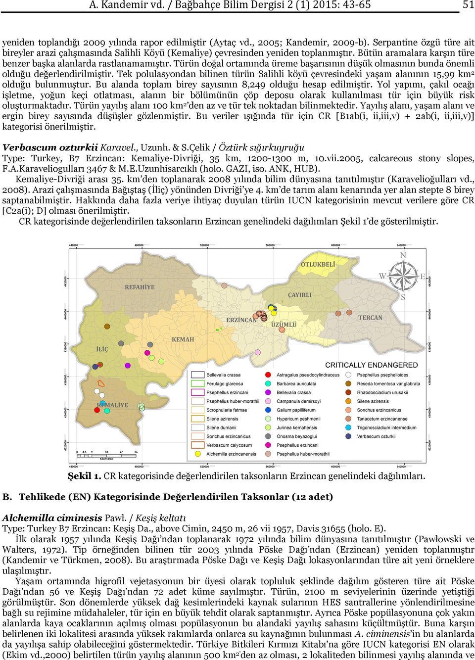 Türün doğal ortamında üreme başarısının düşük olmasının bunda önemli olduğu değerlendirilmiştir. Tek polulasyondan bilinen türün Salihli köyü çevresindeki yaşam alanının 15,99 km2 olduğu bulunmuştur.