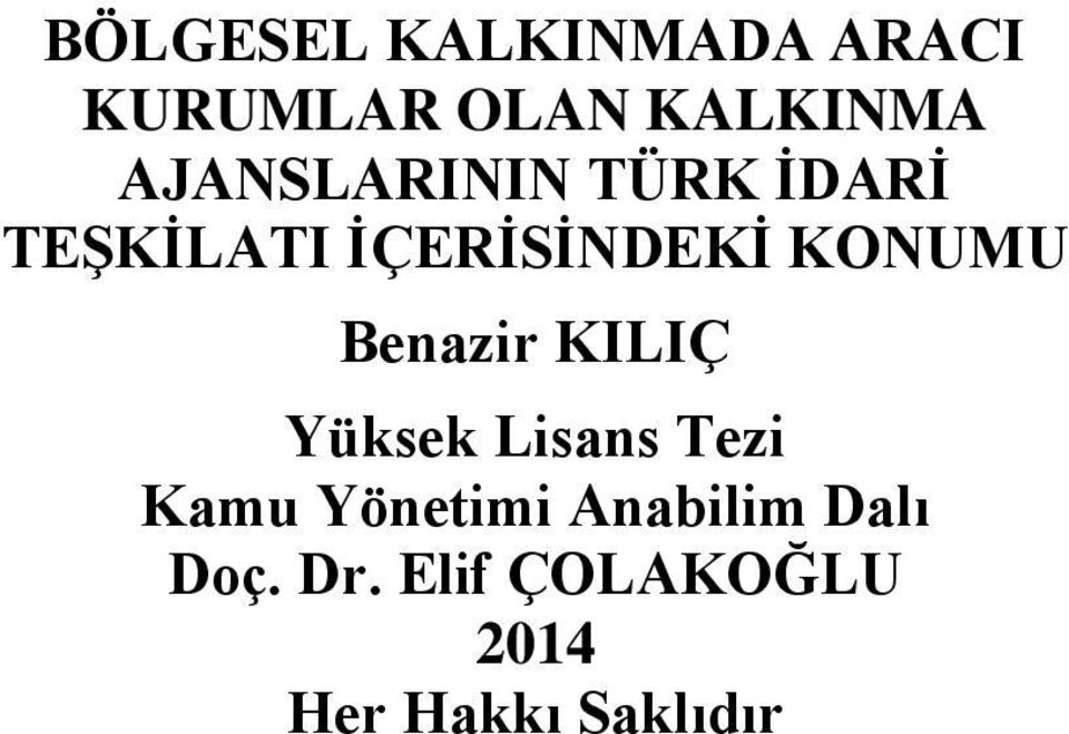 KONUMU Benazir KILIÇ Yüksek Lisans Tezi Kamu