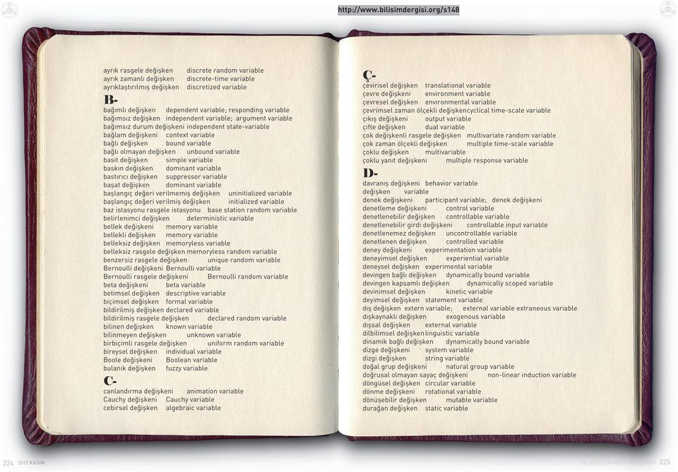 değişken unbound variable basit değişken simple variable baskın değişken dominant variable bastırıcı değişken suppressor variable başat değişken dominant variable başlangıç değeri verilmemiş değişken