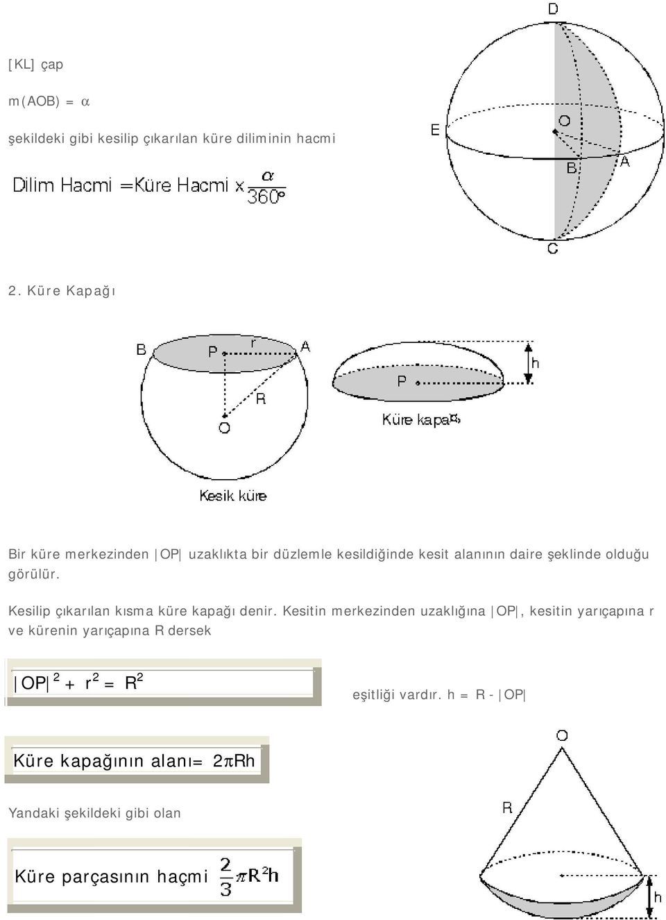 görülür. Kesilip çıkarılan kısma küre kapağı denir.