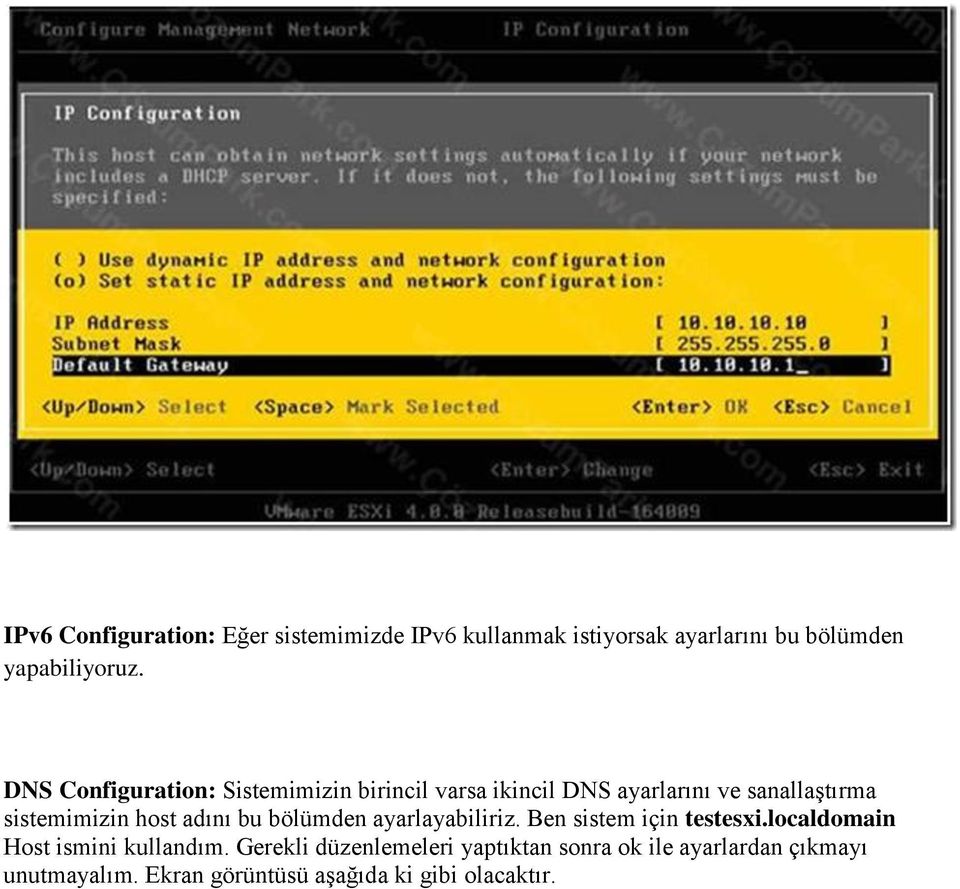 adını bu bölümden ayarlayabiliriz. Ben sistem için testesxi.localdomain Host ismini kullandım.