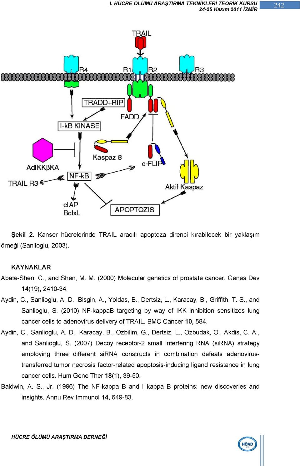(2010) NF-kappaB targeting by way of IKK inhibition sensitizes lung cancer cells to adenovirus delivery of TRAIL. BMC Cancer 10, 584. Aydin, C., Sanlioglu, A. D., Karacay, B., Ozbilim, G., Dertsiz, L.