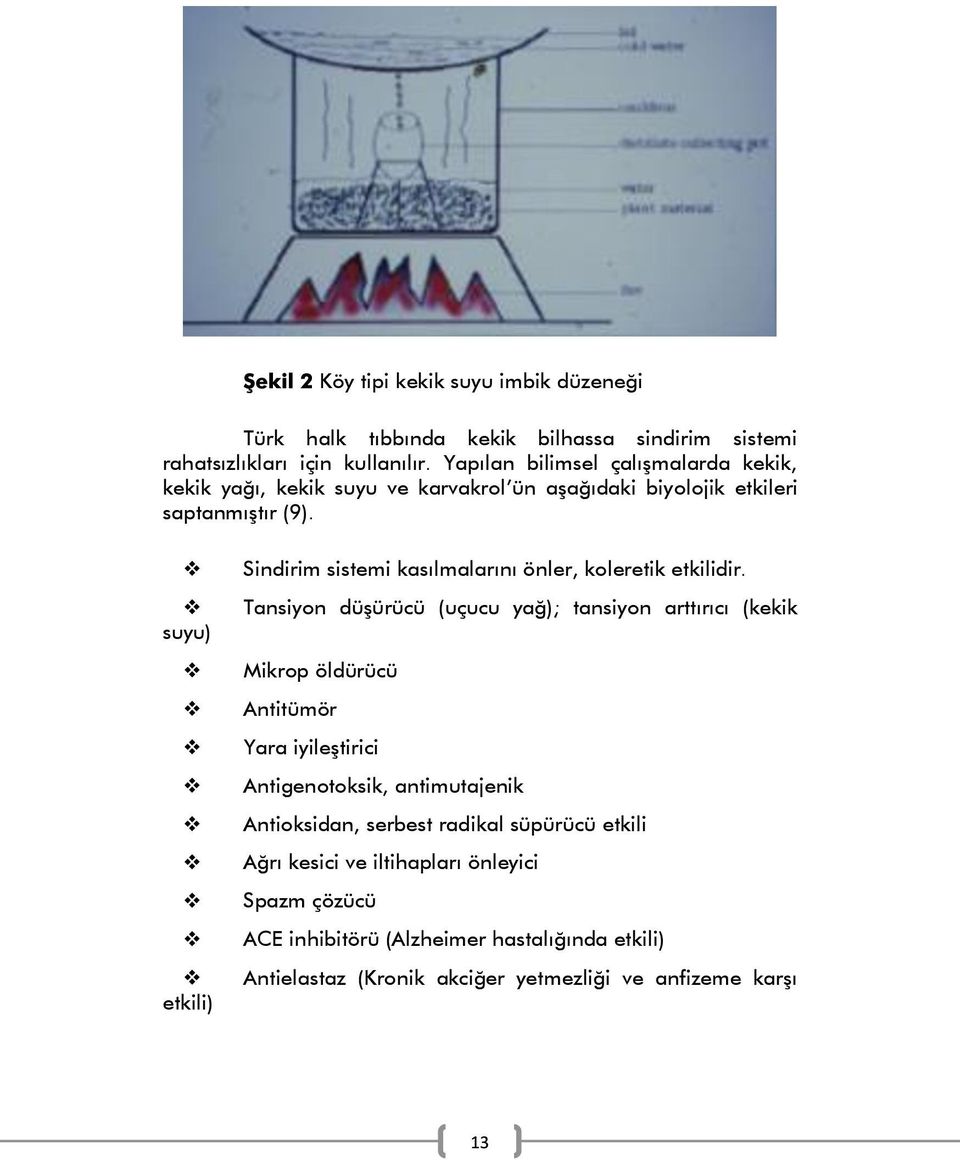 Sindirim sistemi kasılmalarını önler, koleretik etkilidir.