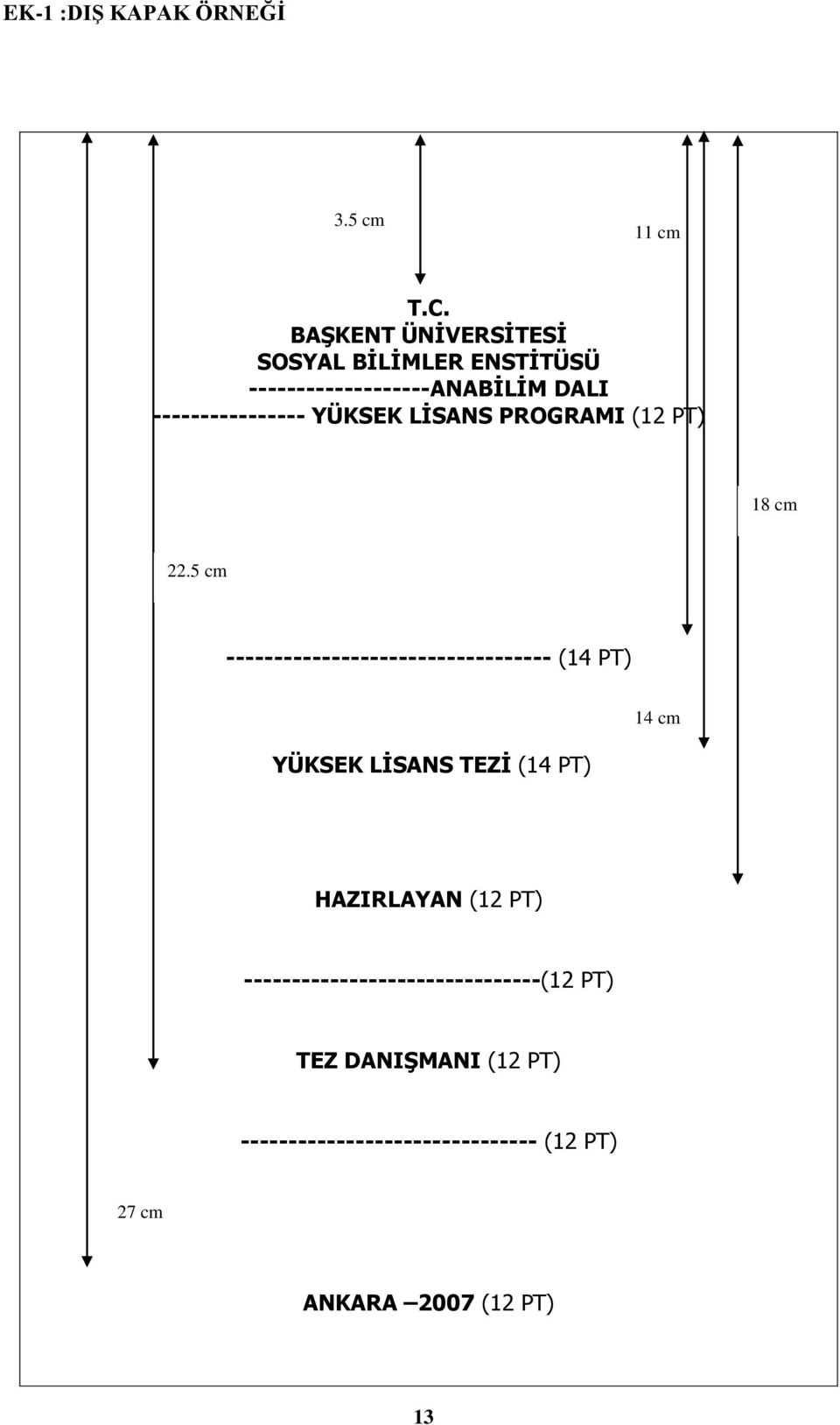 YÜKSEK LİSANS PROGRAMI (12 PT) 18 cm 22.