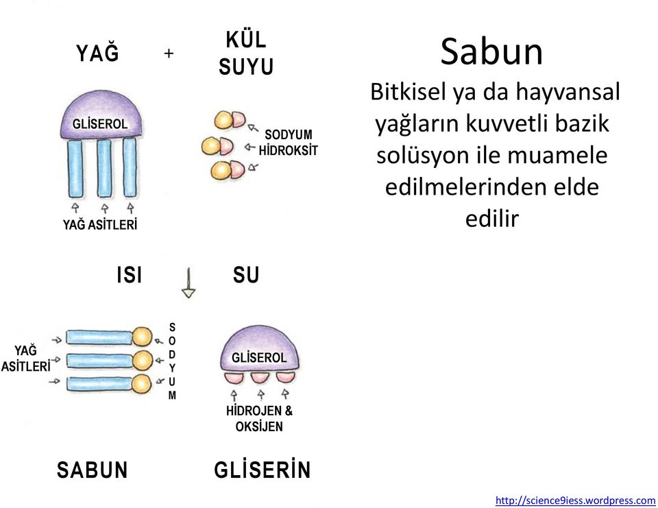 muamele edilmelerinden elde edilir YAĞ ASİTLERİ S O D Y U M