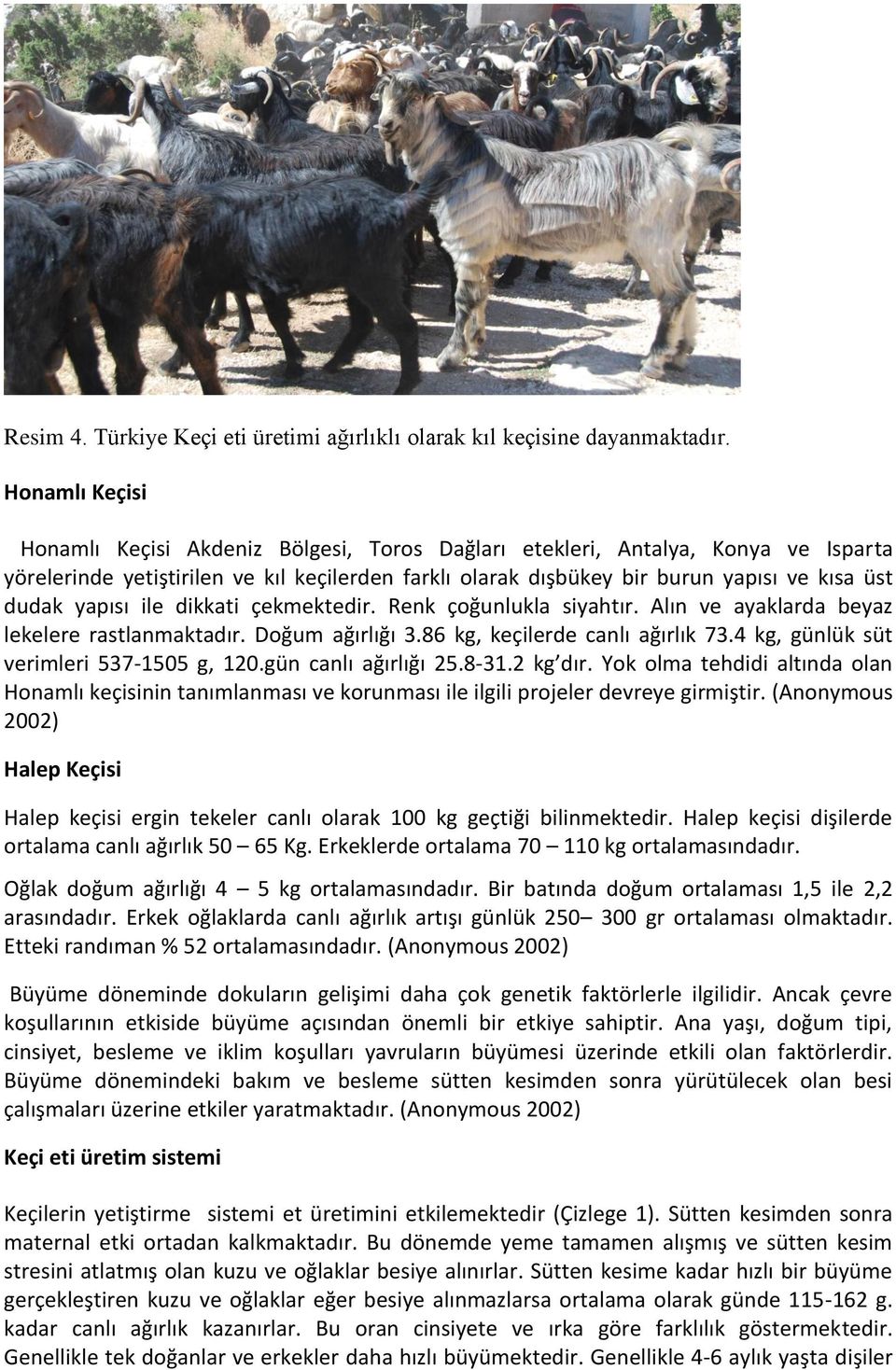 yapısı ile dikkati çekmektedir. Renk çoğunlukla siyahtır. Alın ve ayaklarda beyaz lekelere rastlanmaktadır. Doğum ağırlığı 3.86 kg, keçilerde canlı ağırlık 73.