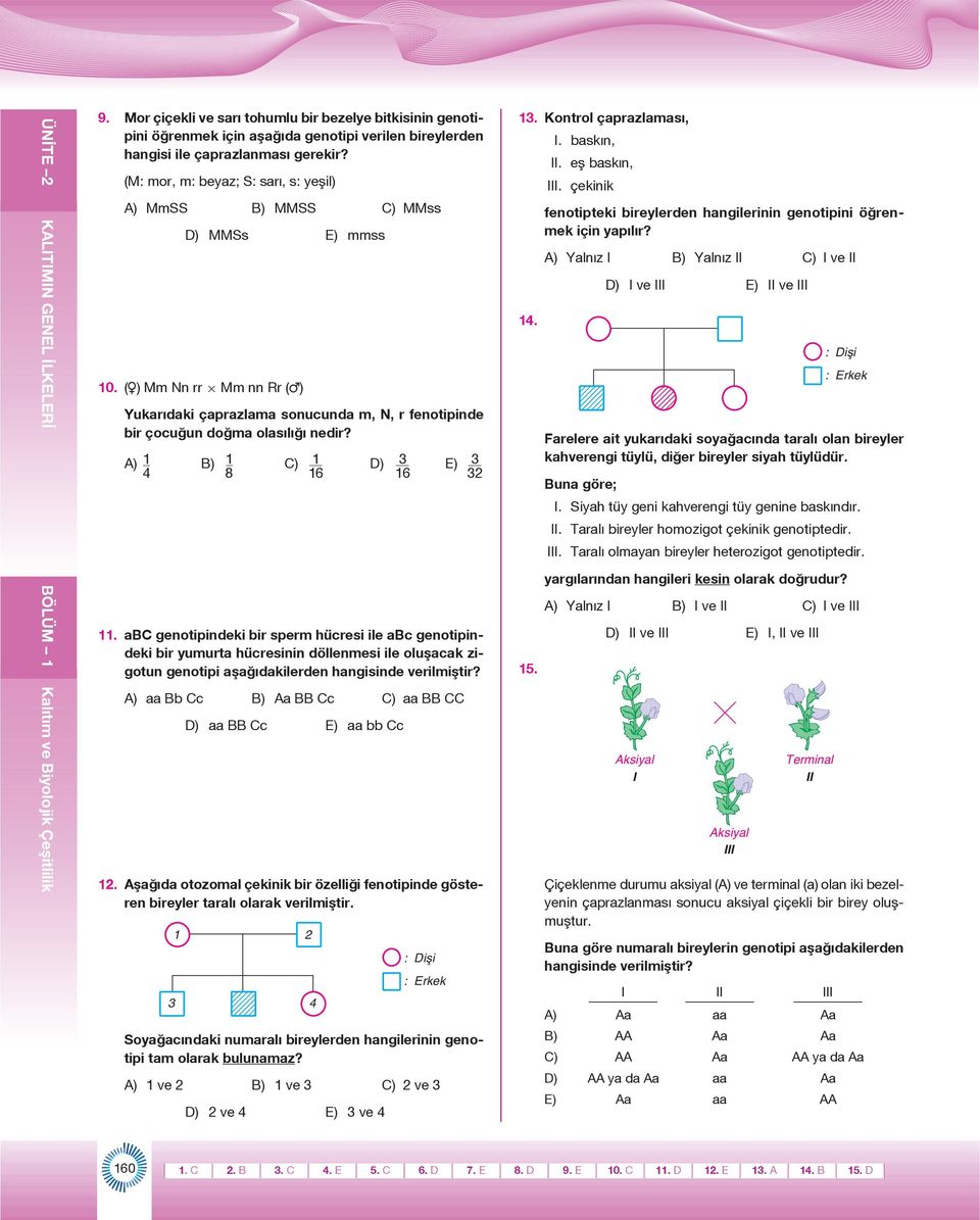 (M: mor, m: beyaz; S: sarı, s: yeşil) A) MmSS B) MMSS C) MMss D) MMSs E) mmss 0. ( ) Mm Nn rr Mm nn Rr ( ) Yukarıdaki çaprazlama sonucunda m, N, r fenotipinde bir çocuğun doğma olasılığı nedir?