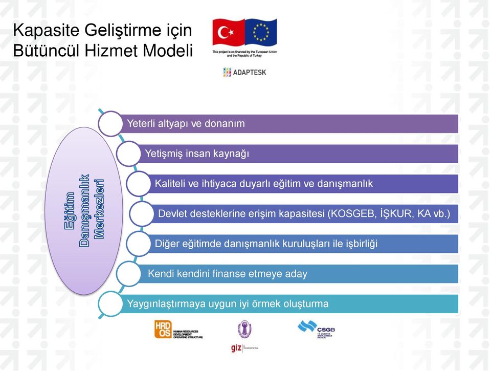 erişim kapasitesi (KOSGEB, İŞKUR, KA vb.