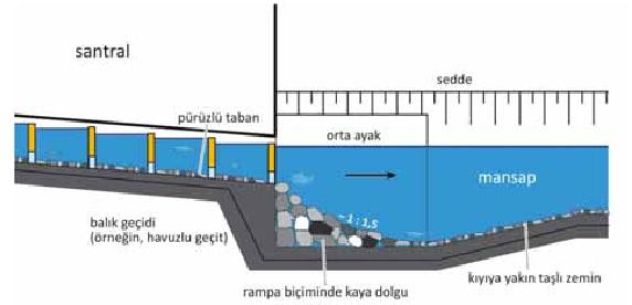 Şekil 4. Balık geçidinin mansap tarafında balık giriş bölgesi. Çamlıca 2 HES teki balık geçidinin mansaptan balık girişi Şekil 5 deki gibi planlanmıştır.