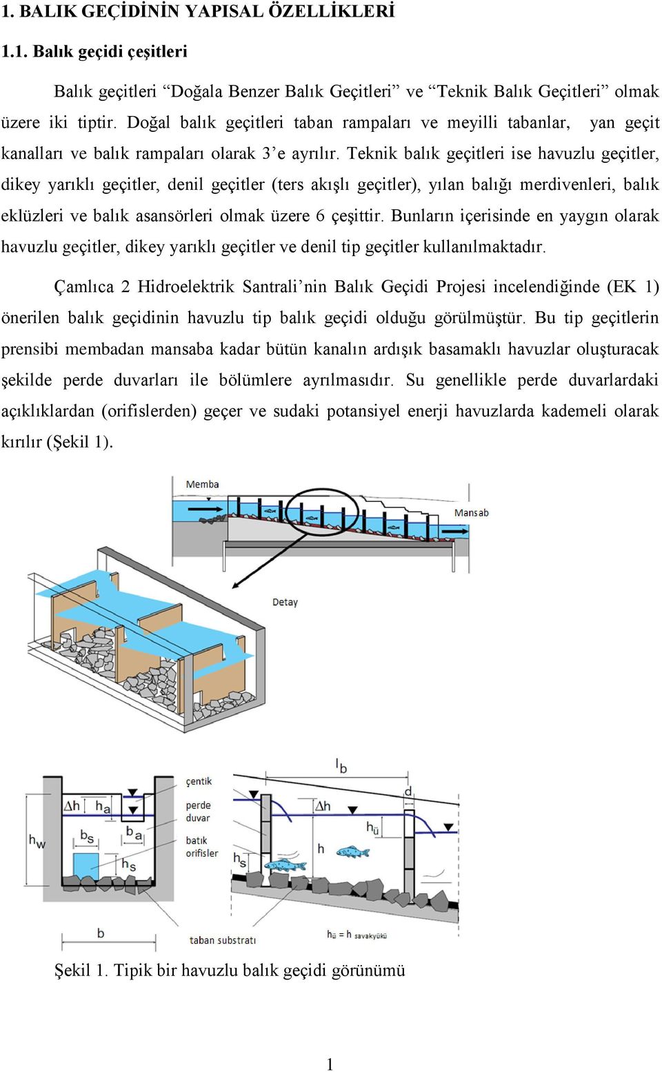 Teknik balık geçitleri ise havuzlu geçitler, dikey yarıklı geçitler, denil geçitler (ters akışlı geçitler), yılan balığı merdivenleri, balık eklüzleri ve balık asansörleri olmak üzere 6 çeşittir.