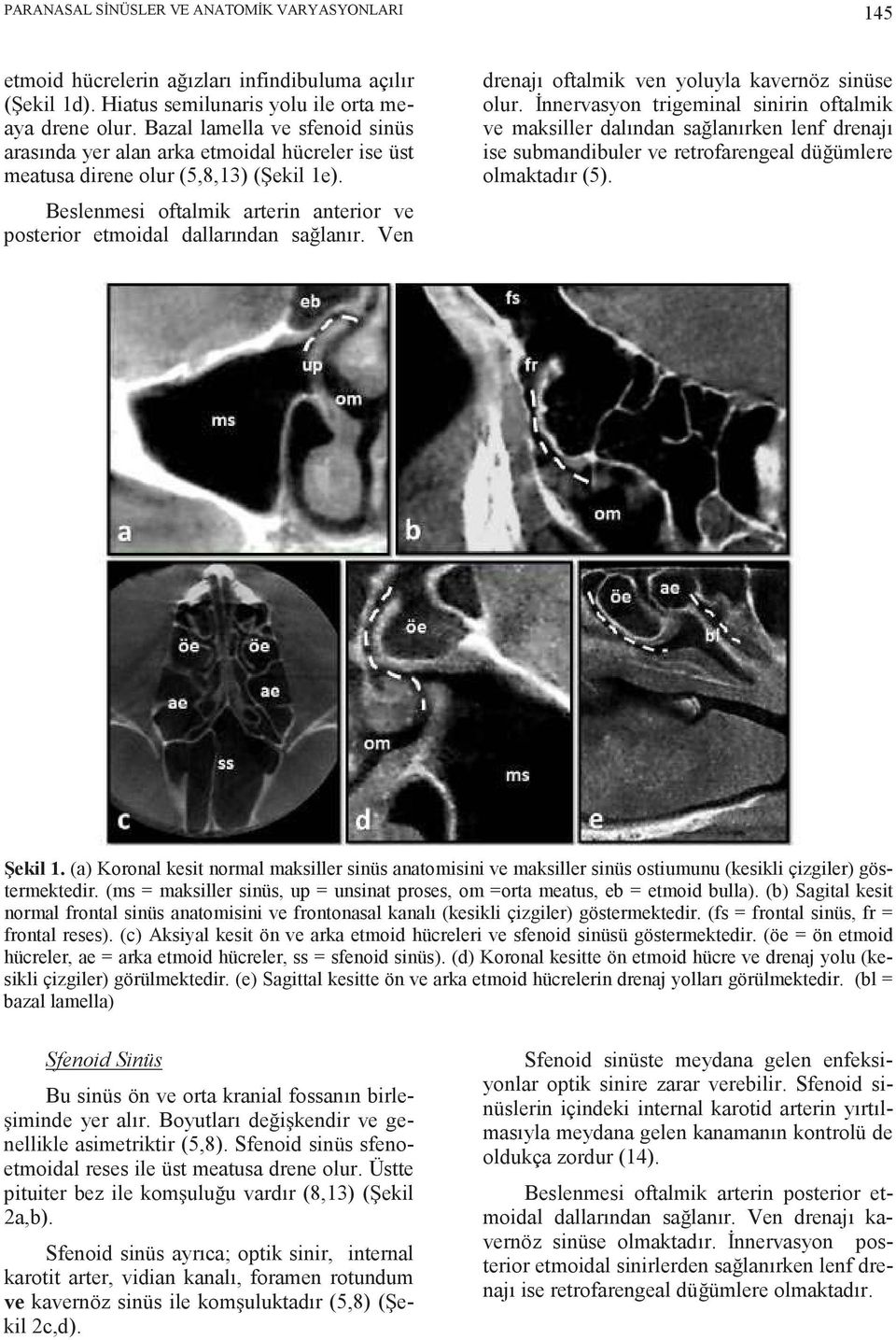 Beslenmesi oftalmik arterin anterior ve posterior etmoidal dallarından sa lanır. Ven drenajı oftalmik ven yoluyla kavernöz sinüse olur.