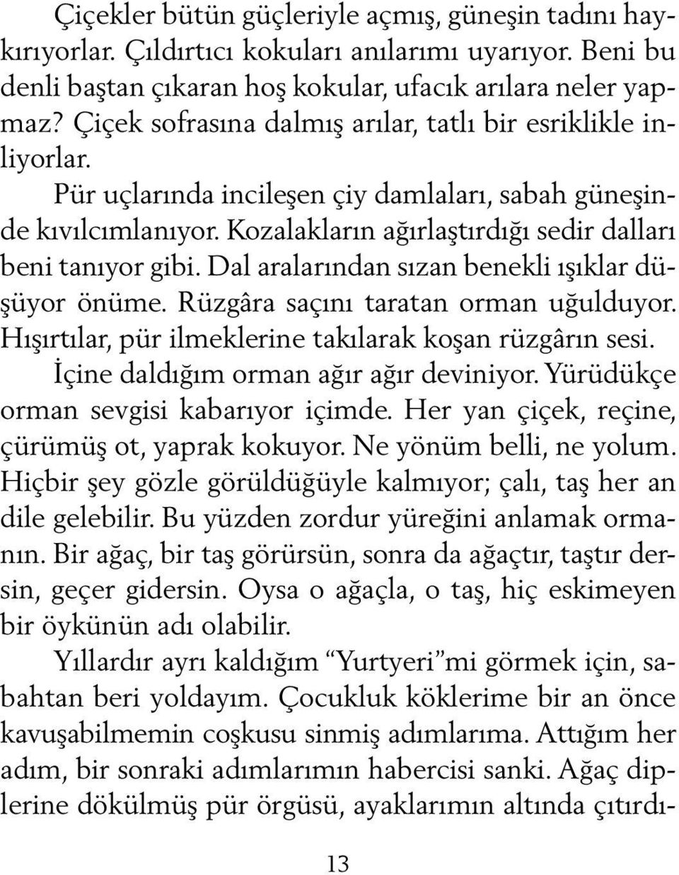 Dal aralarından sızan benekli ışıklar düşüyor önüme. Rüzgâra saçını taratan orman uğulduyor. Hışırtılar, pür ilmeklerine takılarak koşan rüzgârın se si. İçine daldığım orman ağır ağır deviniyor.