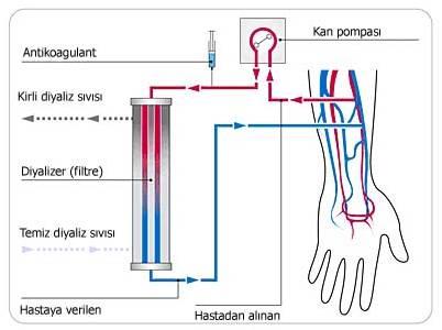 Diyaliz: Çözücüyle birlikte bazı çözünenlerin yarı