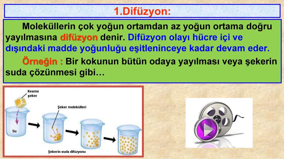 Difüzyon olayı hücre içi ve dışındaki madde yoğunluğu