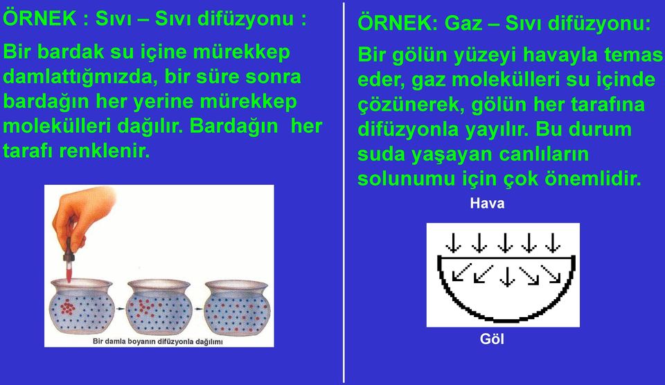 ÖRNEK: Gaz Sıvı difüzyonu: Bir gölün yüzeyi havayla temas eder, gaz molekülleri su içinde