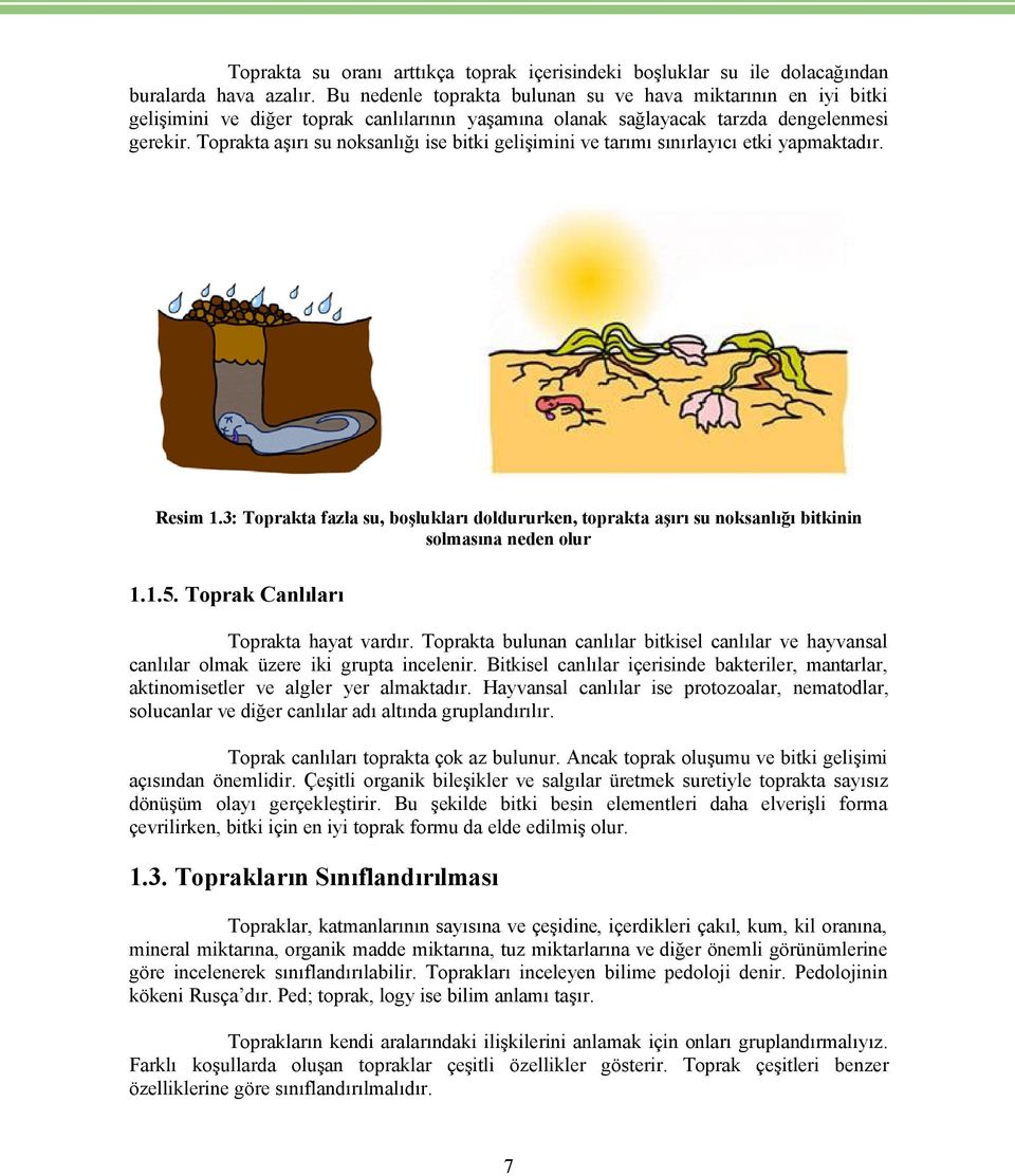 Toprakta aşırı su noksanlığı ise bitki gelişimini ve tarımı sınırlayıcı etki yapmaktadır. Resim 1.