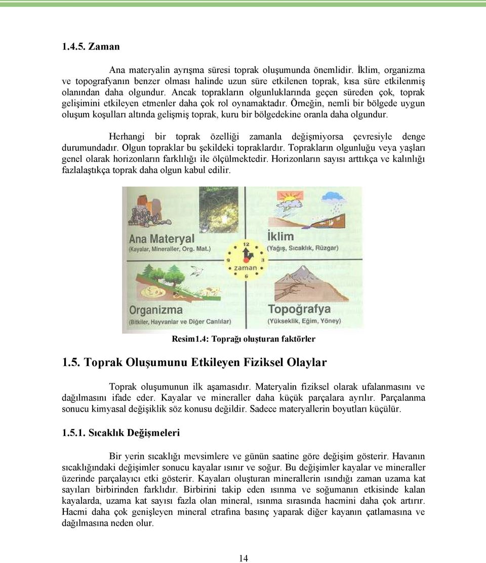 Ancak toprakların olgunluklarında geñen séreden Ñok, toprak gelişimini etkileyen etmenler daha Ñok rol oynamaktadır.